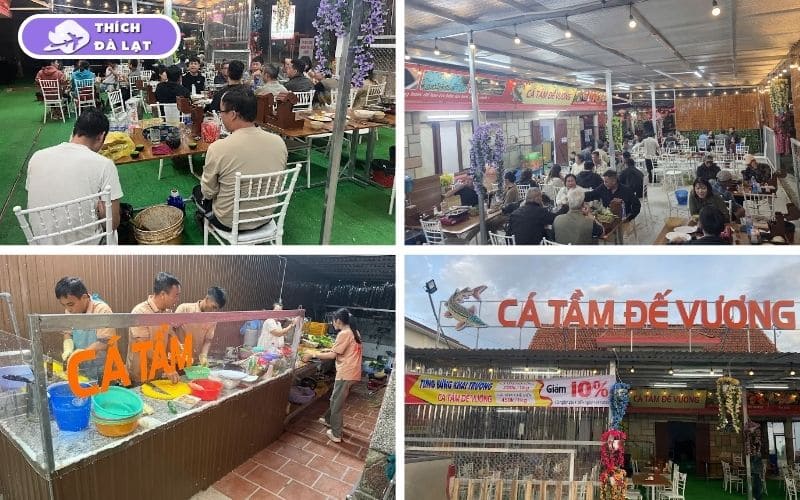 Quán Lẩu cá tầm Đế Vương Lâm Đồng lẩu cá tươi chuẩn vị Đà Lạt 8 lẩu cá tầm đế vương lâm đồng