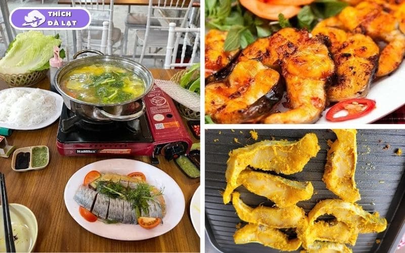 Quán Lẩu cá tầm Đế Vương Lâm Đồng lẩu cá tươi chuẩn vị Đà Lạt 11 lẩu cá tầm đế vương lâm đồng