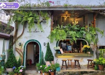 tiệm cá tầm & thịt rừng nhà nắng