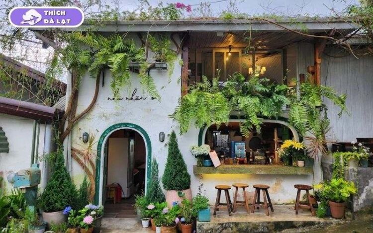 tiệm cá tầm & thịt rừng nhà nắng