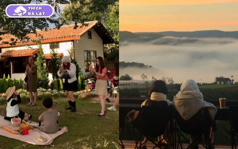 Top 10 quán cafe mở xuyên tết Đà Lạt view đẹp, nước đa dạng 13 cafe mở xuyên tết đà lạt