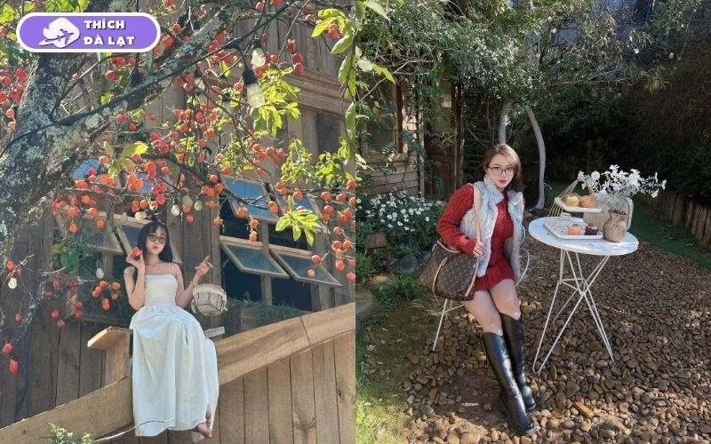 Top 10 quán cafe mở xuyên tết Đà Lạt view đẹp, nước đa dạng 14 cafe mở xuyên tết đà lạt