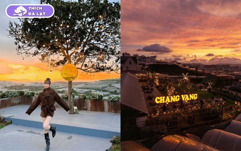 Top 10 quán cafe mở xuyên tết Đà Lạt view đẹp, nước đa dạng 15 cafe mở xuyên tết đà lạt