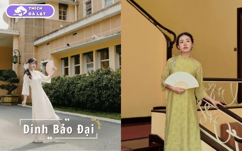 Top 10 địa điểm chụp hình Tết đẹp ở Đà Lạt miễn phí 2026 16 địa điểm chụp hình tết đẹp ở đà lạt