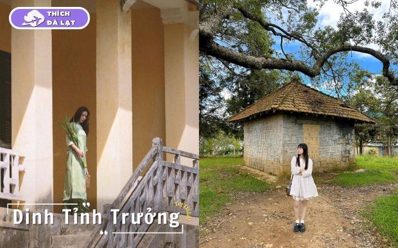 Top 10 địa điểm chụp hình Tết đẹp ở Đà Lạt miễn phí 2026 17 địa điểm chụp hình tết đẹp ở đà lạt