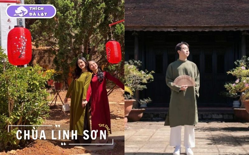 Top 10 địa điểm chụp hình Tết đẹp ở Đà Lạt miễn phí 2026 19 địa điểm chụp hình tết đẹp ở đà lạt