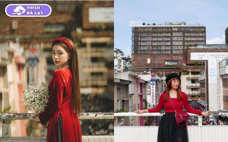 Top 10 địa điểm chụp hình Tết đẹp ở Đà Lạt miễn phí 2026 20 địa điểm chụp hình tết đẹp ở đà lạt