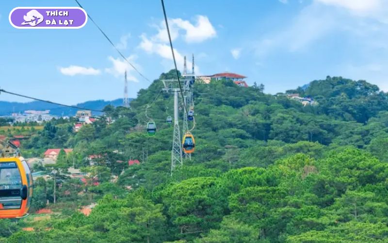 Top 25 địa điểm du lịch Đà Lạt Tết đẹp nhất 2026 không thể bỏ lỡ 36 du lịch đà lạt tết