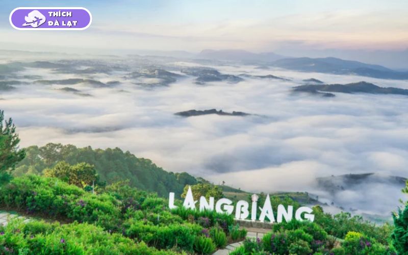 Top 25 địa điểm du lịch Đà Lạt Tết đẹp nhất 2026 không thể bỏ lỡ 38 du lịch đà lạt tết