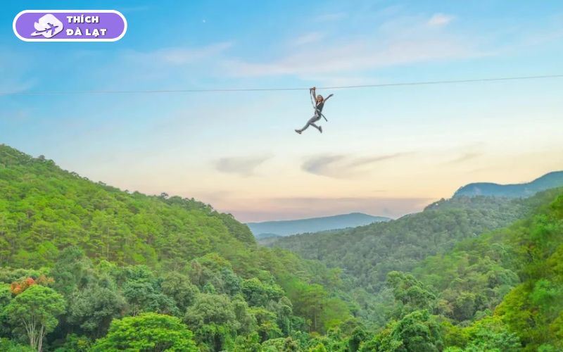 Top 25 địa điểm du lịch Đà Lạt Tết đẹp nhất 2026 không thể bỏ lỡ 39 du lịch đà lạt tết