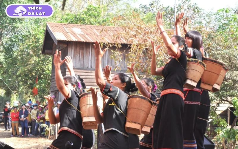 Top 25 địa điểm du lịch Đà Lạt Tết đẹp nhất 2026 không thể bỏ lỡ 44 du lịch đà lạt tết