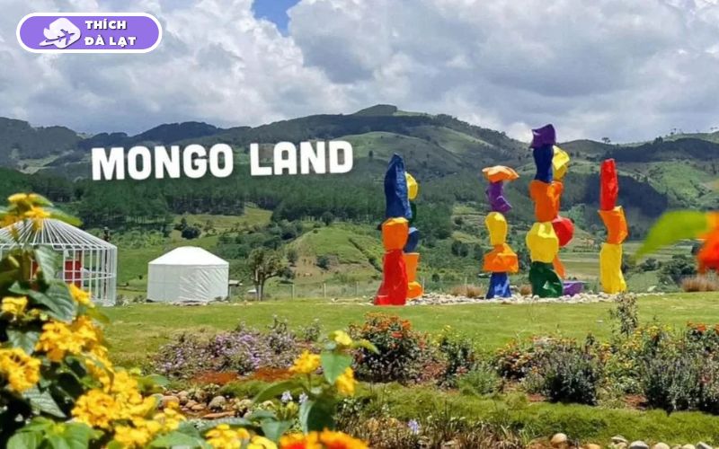 Top 25 địa điểm du lịch Đà Lạt Tết đẹp nhất 2026 không thể bỏ lỡ 28 du lịch đà lạt tết