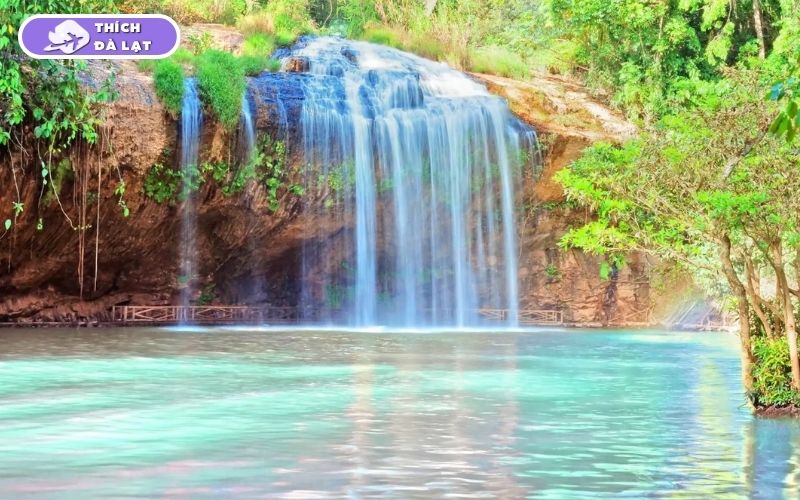 Top 25 địa điểm du lịch Đà Lạt Tết đẹp nhất 2026 không thể bỏ lỡ 47 du lịch đà lạt tết