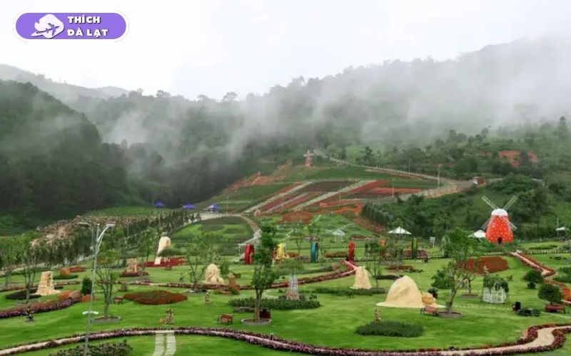 Top 25 địa điểm du lịch Đà Lạt Tết đẹp nhất 2026 không thể bỏ lỡ 49 du lịch đà lạt tết