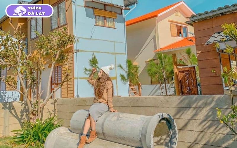 Top 25 địa điểm du lịch Đà Lạt Tết đẹp nhất 2026 không thể bỏ lỡ 51 du lịch đà lạt tết