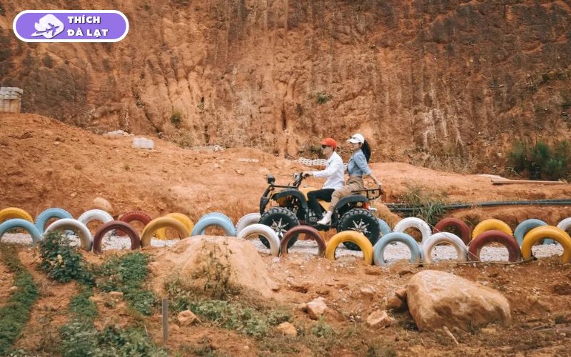 Top 25 địa điểm du lịch Đà Lạt Tết đẹp nhất 2026 không thể bỏ lỡ 30 du lịch đà lạt tết