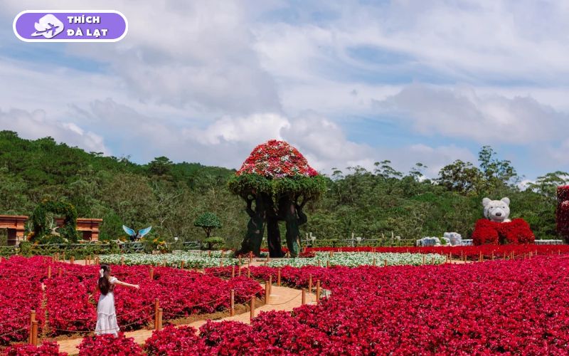 Top 25 địa điểm du lịch Đà Lạt Tết đẹp nhất 2026 không thể bỏ lỡ 31 du lịch đà lạt tết
