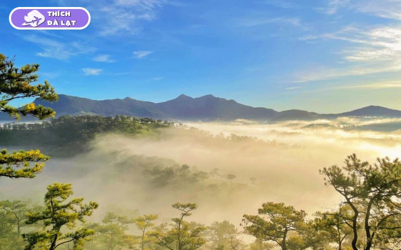 Du lịch Đà Lạt tháng 1 có gì? Nên ăn gì, chơi gì và ở đâu? 14 du lịch đà lạt tháng 1