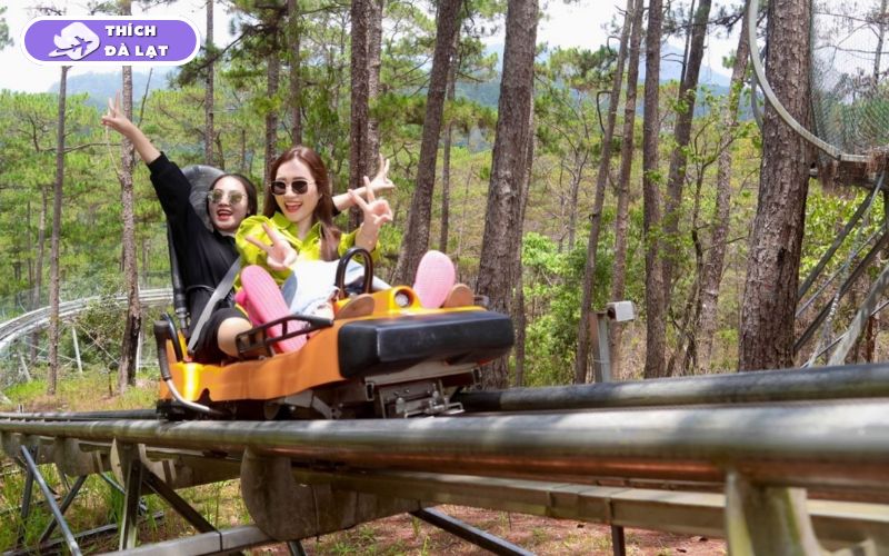 Du lịch Đà Lạt tháng 1 có gì? Nên ăn gì, chơi gì và ở đâu? 24 du lịch đà lạt tháng 1