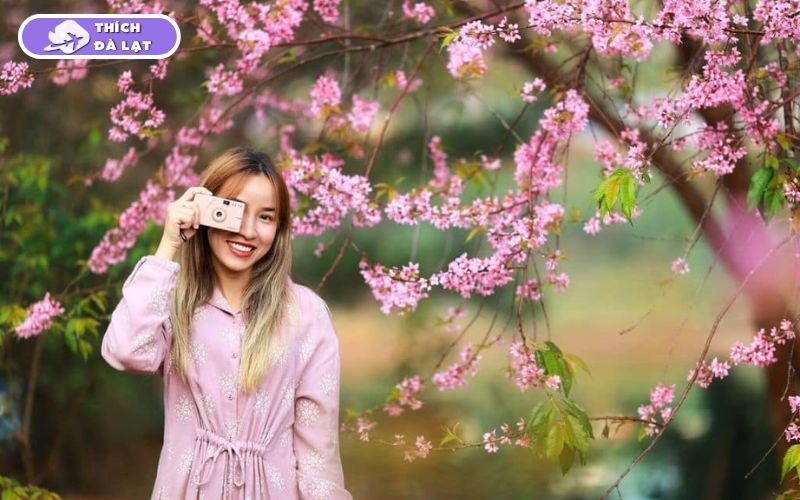 Du lịch Đà Lạt tháng 1 có gì? Nên ăn gì, chơi gì và ở đâu? 15 du lịch đà lạt tháng 1