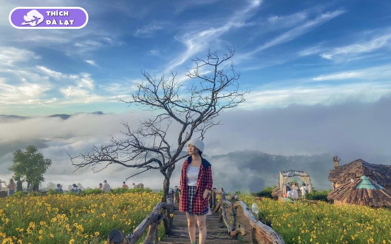 Du lịch Đà Lạt tháng 1 có gì? Nên ăn gì, chơi gì và ở đâu? 17 du lịch đà lạt tháng 1