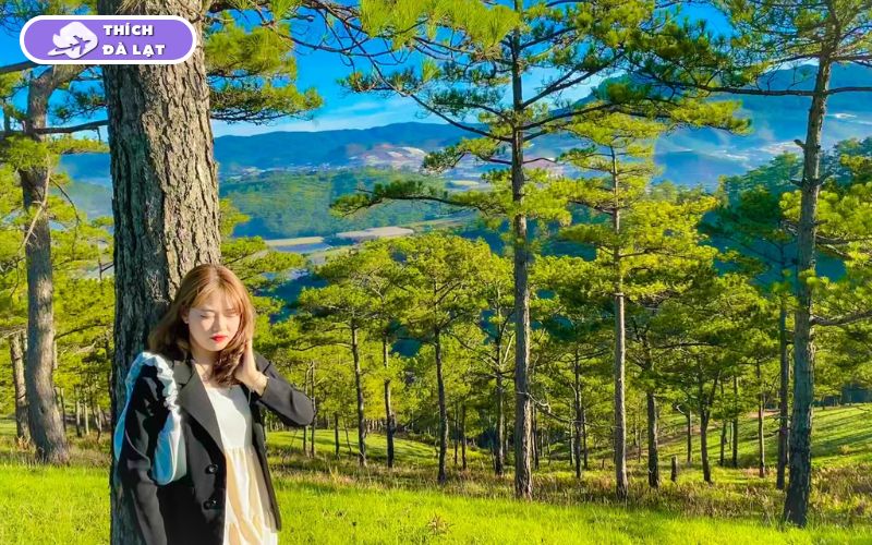 Du lịch Đà Lạt tháng 2 có gì? Nên ăn gì, chơi gì và ở đâu? 14 du lịch đà lạt tháng 2