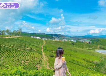 Du lịch Đà Lạt tháng 2 có gì? Nên ăn gì, chơi gì và ở đâu? 52 du lịch đà lạt tháng 2