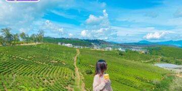 du lịch đà lạt tháng 2