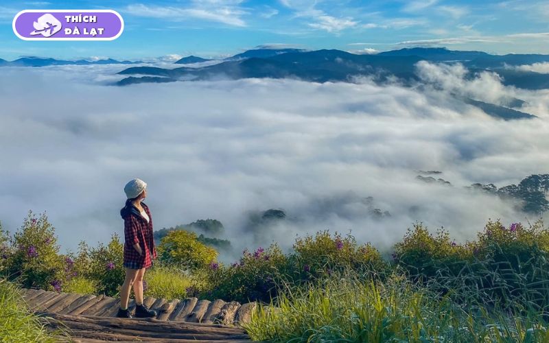 Du lịch Đà Lạt tháng 2 có gì? Nên ăn gì, chơi gì và ở đâu? 17 du lịch đà lạt tháng 2