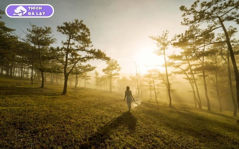 Du lịch mùa Xuân Đà Lạt có gì? Ăn gì, chơi gì và ở đâu? 14 du lịch mùa xuân đà lạt