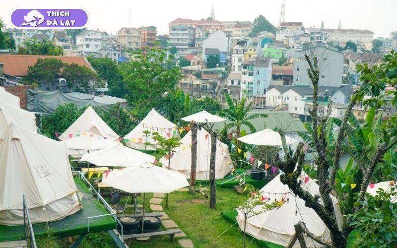 Du lịch mùa Xuân Đà Lạt có gì? Ăn gì, chơi gì và ở đâu? 16 du lịch mùa xuân đà lạt