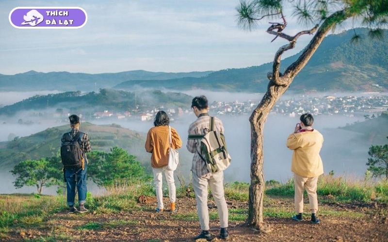 Du lịch mùa Xuân Đà Lạt có gì? Ăn gì, chơi gì và ở đâu? 17 du lịch mùa xuân đà lạt