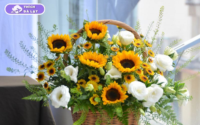 Top các loại hoa Tết Đà Lạt được ưa chuộng mỗi độ xuân về 14 hoa tết đà lạt