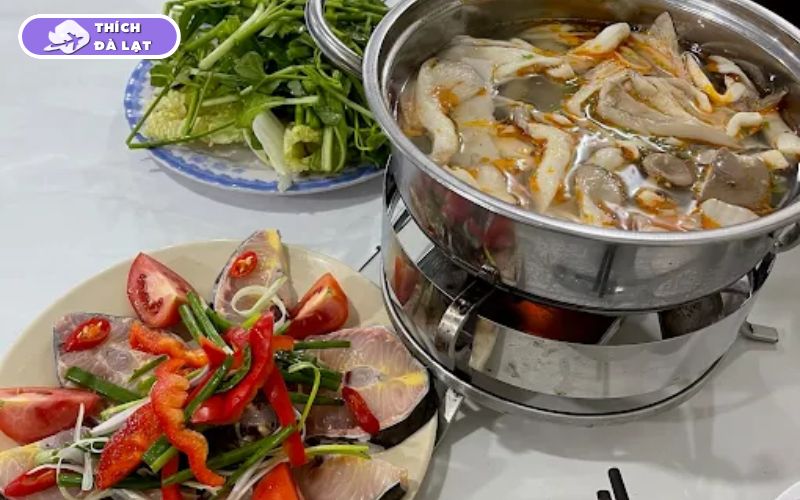 Top 10 quán lẩu cá tầm Đà Lạt ngon, tươi, chất lượng và đáng thử 15 lẩu cá tầm đà lạt