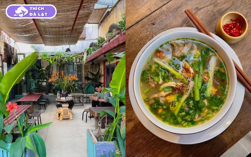 Top 7 quán miến gà Đà Lạt nhất định phải ghé khi du lịch 15 miến gà đà lạt