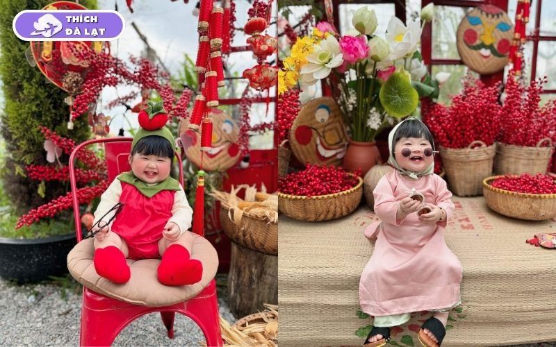 Top 10 quán cafe trang trí Tết ở Đà Lạt check-in siêu đẹp 2026 12 quán cafe trang trí tết ở đà lạt