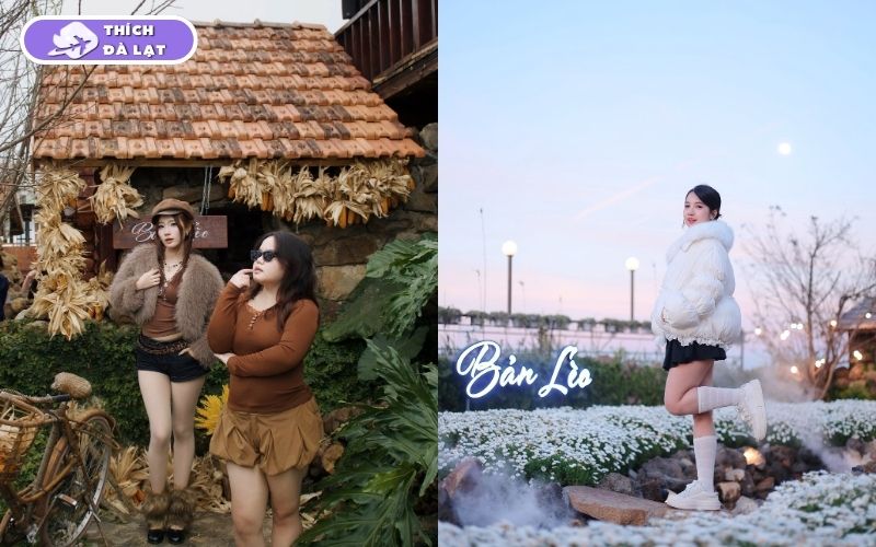 Top 10 quán cafe trang trí Tết ở Đà Lạt check-in siêu đẹp 2026 21 quán cafe trang trí tết ở đà lạt