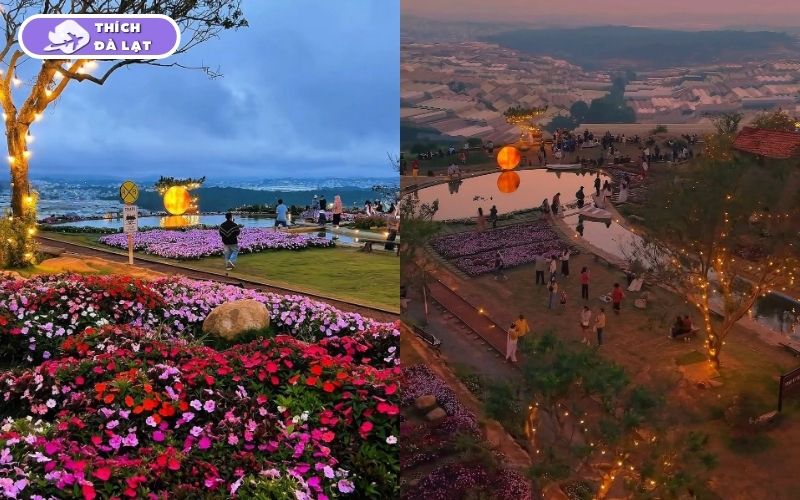 Top 10 quán cafe trang trí Tết ở Đà Lạt check-in siêu đẹp 2026 14 quán cafe trang trí tết ở đà lạt