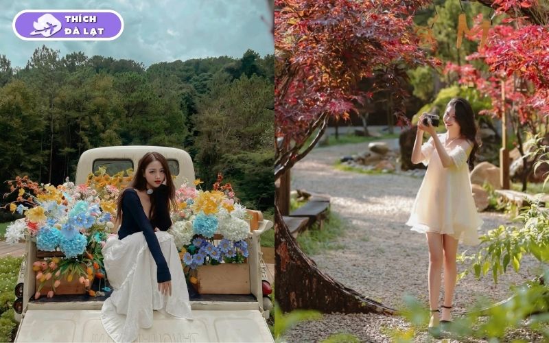 Top 10 quán cafe trang trí Tết ở Đà Lạt check-in siêu đẹp 2026 16 quán cafe trang trí tết ở đà lạt