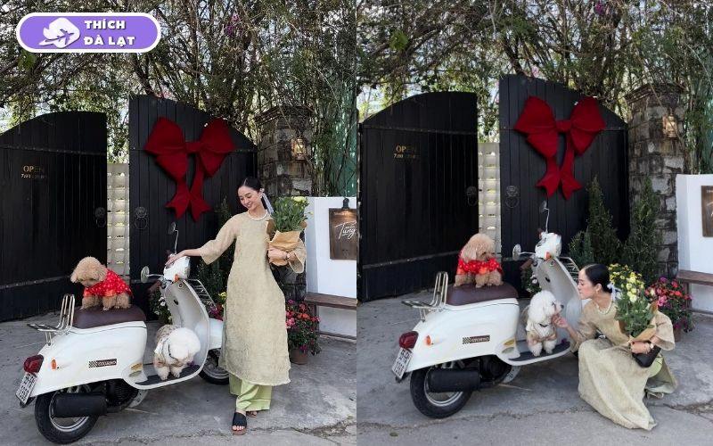 Top 10 quán cafe trang trí Tết ở Đà Lạt check-in siêu đẹp 2026 17 quán cafe trang trí tết ở đà lạt