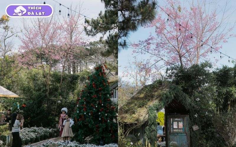 Top 10 quán cafe trang trí Tết ở Đà Lạt check-in siêu đẹp 2026 19 quán cafe trang trí tết ở đà lạt