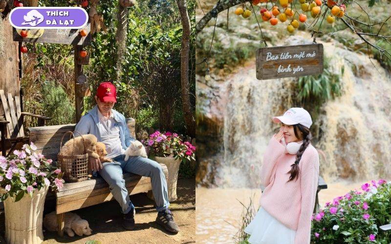 Top 10 quán cafe trang trí Tết ở Đà Lạt check-in siêu đẹp 2026 20 quán cafe trang trí tết ở đà lạt