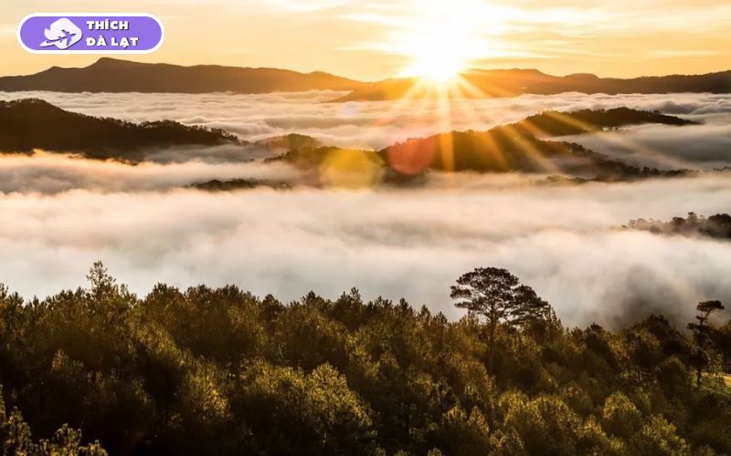 Thời tiết Đà Lạt Tết: Có Lạnh Không? Bao Nhiêu Độ? Nên Mặc Gì? 8 thời tiết đà lạt tết