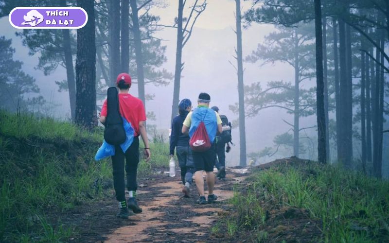 Thời tiết Đà Lạt Tết: Có Lạnh Không? Bao Nhiêu Độ? Nên Mặc Gì? 9 thời tiết đà lạt tết