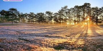 thời tiết đà lạt tết