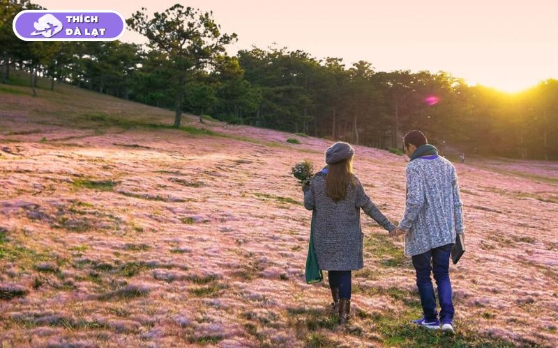 Thời tiết Đà Lạt Tết: Có Lạnh Không? Bao Nhiêu Độ? Nên Mặc Gì? 10 thời tiết đà lạt tết