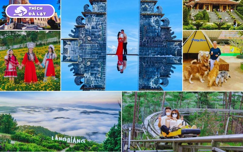 Top 7+ tour du lịch Đà Lạt Tết lịch trình hấp dẫn, giá tốt nhất 10 tour du lịch đà lạt tết