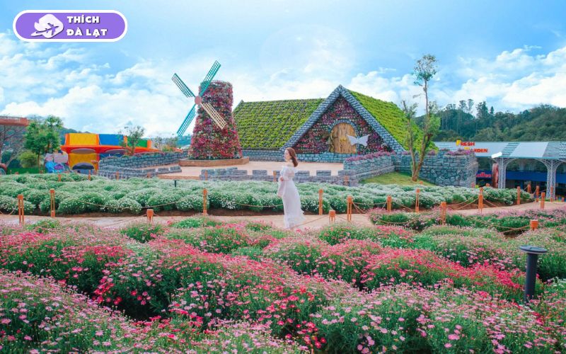 Top 7+ tour du lịch Đà Lạt Tết lịch trình hấp dẫn, giá tốt nhất 12 tour du lịch đà lạt tết