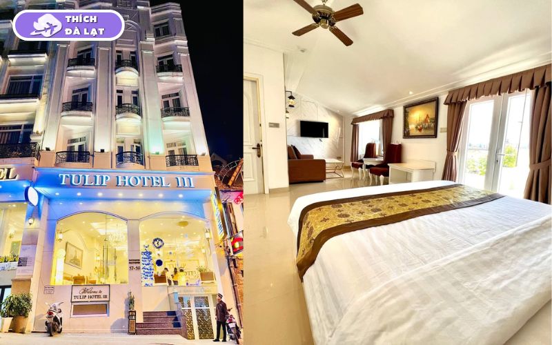 Top 7 khách sạn đường 3/2 Đà Lạt giá tốt, tiện nghi, vị trí đẹp 9 khach san duong 3 2 da lat 1