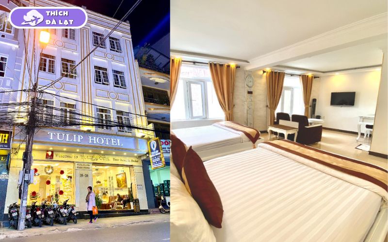 Top 7 khách sạn đường 3/2 Đà Lạt giá tốt, tiện nghi, vị trí đẹp 14 khách sạn đường 3/2 đà lạt